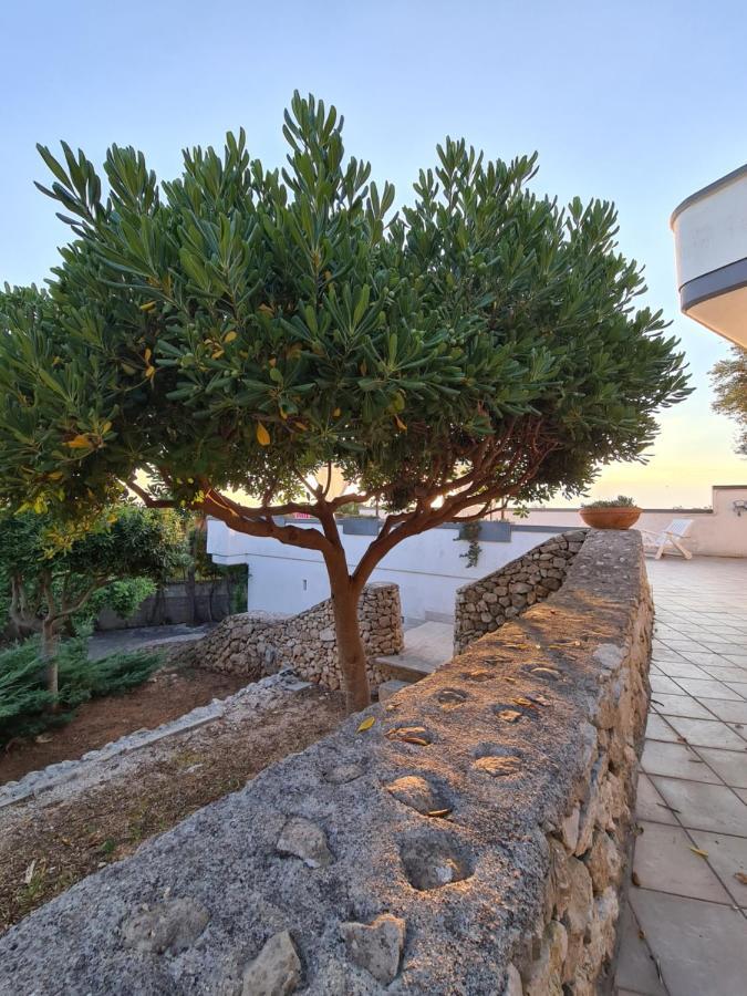 Villa Panoramica Sunset House Torre Vado Buitenkant foto